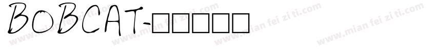 BOBCAT字体转换