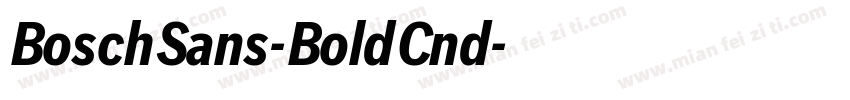 BoschSans-BoldCnd字体转换