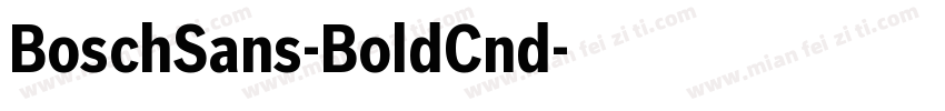 BoschSans-BoldCnd字体转换