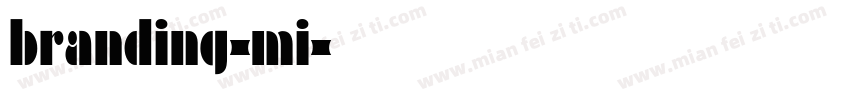 branding-mi字体转换