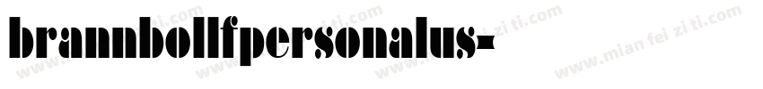 brannbollfpersonalus字体转换