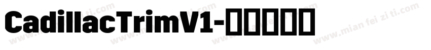 CadillacTrimV1字体转换