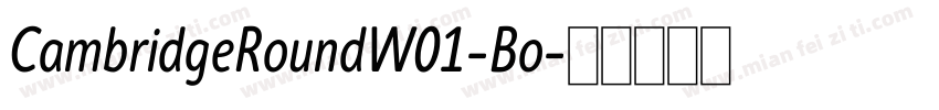 CambridgeRoundW01-Bo字体转换
