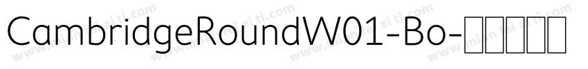 CambridgeRoundW01-Bo字体转换