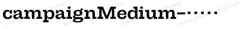 campaignMedium字体转换