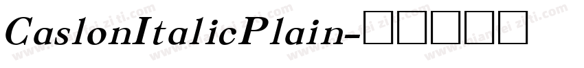 CaslonItalicPlain字体转换