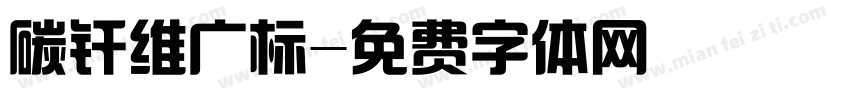 碳纤维广标字体转换