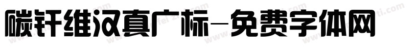 碳纤维汉真广标字体转换