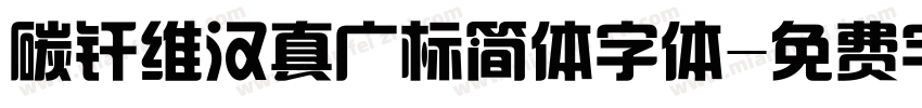 碳纤维汉真广标简体字体字体转换