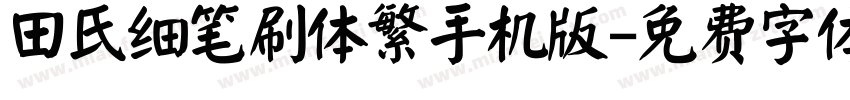 田氏细笔刷体繁手机版字体转换