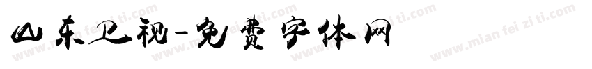 山东卫视字体转换
