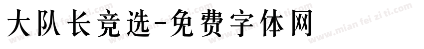 大队长竞选字体转换