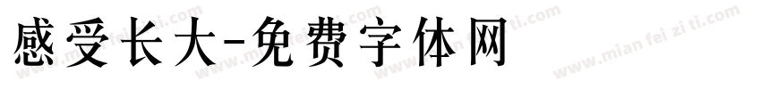 感受长大字体转换