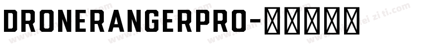 DroneRangerPro字体转换