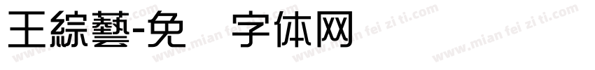 王綜藝字体转换