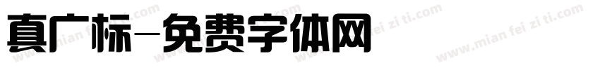 真广标字体转换