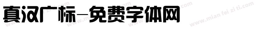 真汉广标字体转换