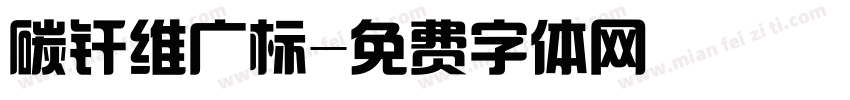 碳纤维广标字体转换