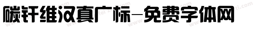碳纤维汉真广标字体转换