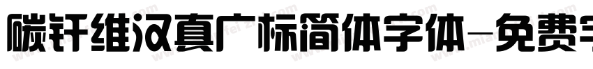 碳纤维汉真广标简体字体字体转换