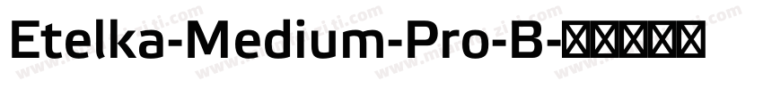Etelka-Medium-Pro-B字体转换