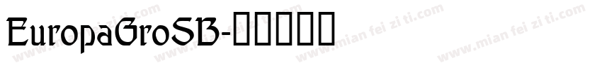 EuropaGroSB字体转换