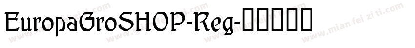 EuropaGroSHOP-Reg字体转换