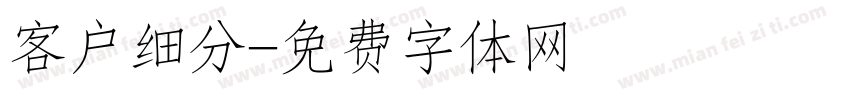 客户细分字体转换