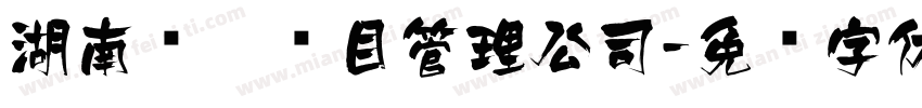 湖南飞达项目管理公司字体转换