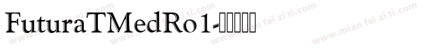 FuturaTMedRo1字体转换