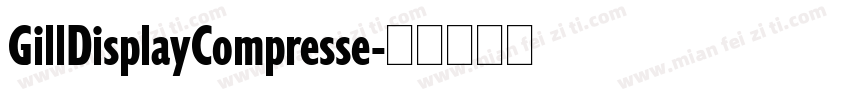 GillDisplayCompresse字体转换