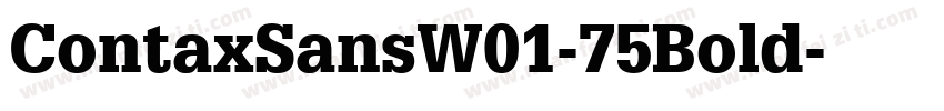 ContaxSansW01-75Bold字体转换