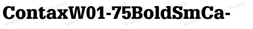 ContaxW01-75BoldSmCa字体转换
