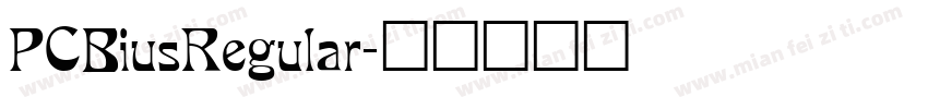 PCBiusRegular字体转换