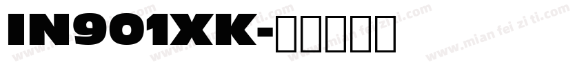 IN901XK字体转换