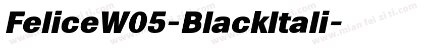 FeliceW05-BlackItali字体转换