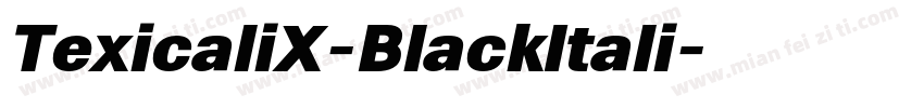 TexicaliX-BlackItali字体转换