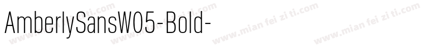 AmberlySansW05-Bold字体转换