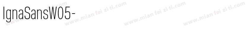 IgnaSansW05字体转换