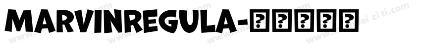 MarvinRegula字体转换