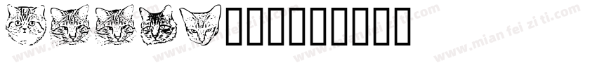 kiity猫字体字体转换