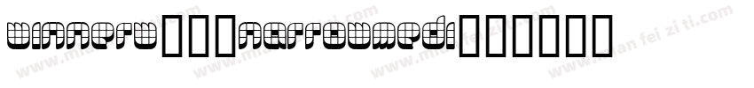 WinnerW29-NarrowMedi字体转换