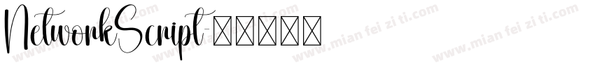 NetworkScript字体转换