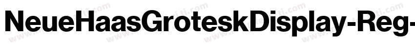 NeueHaasGroteskDisplay-Reg字体转换
