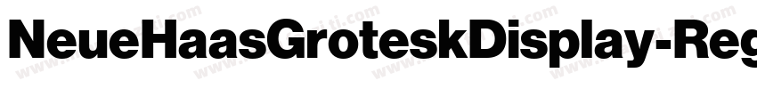 NeueHaasGroteskDisplay-Reg字体转换