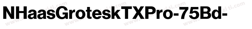 NHaasGroteskTXPro-75Bd字体转换