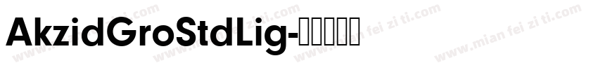 AkzidGroStdLig字体转换