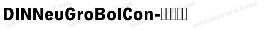 DINNeuGroBolCon字体转换