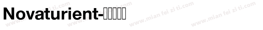 Novaturient字体转换