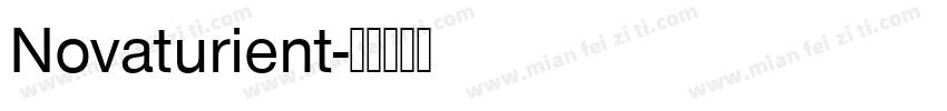 Novaturient字体转换